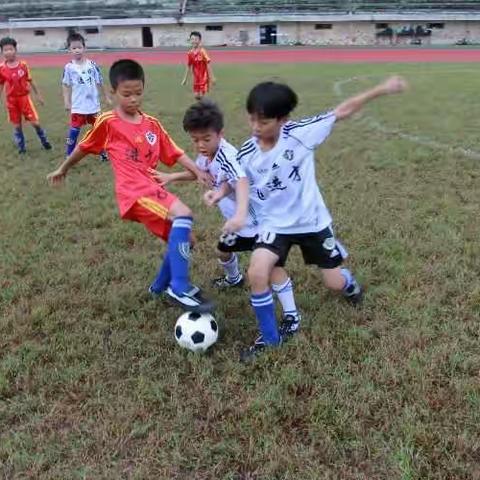 2016温州市建设小学（大南校区）参加区校园足球比赛照片集锦2（10月15—16日)