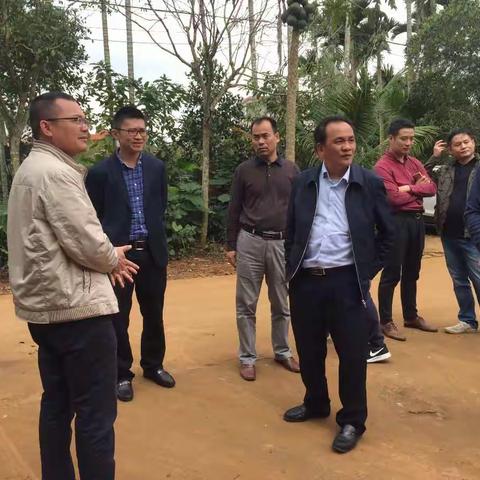 琼山区农林局林小导副局长前来红明农场调研设施用地情况