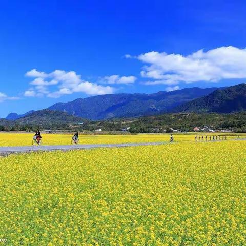 高新区4月21日大气污染日报