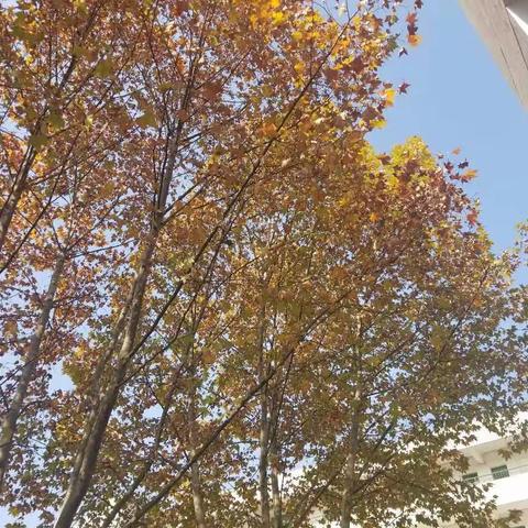 阳光正好，静待花开———钢城七中学校开放日暨家长会顺利召开