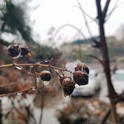 万丈高楼平地起 常规工作需牢记——钢城七中期末常规检查工作顺利完成