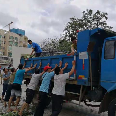“山竹”后的这一道亮光