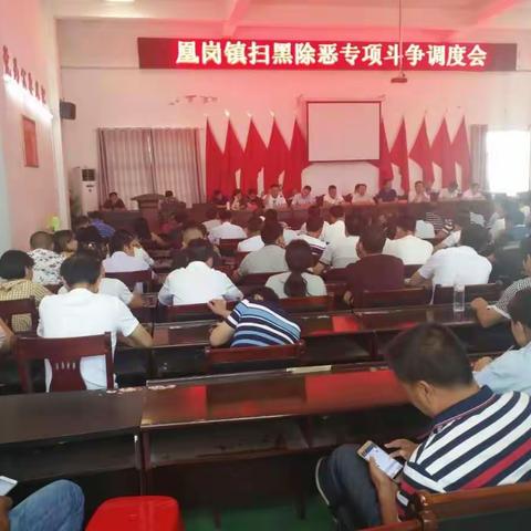 凰岗镇召开扫黑除恶专项斗争调度会