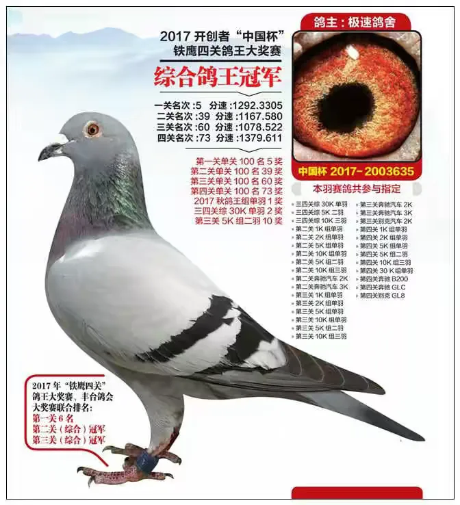 恭贺浙江名家陈仕义