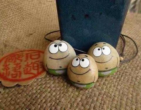 静听石头花开的声音！