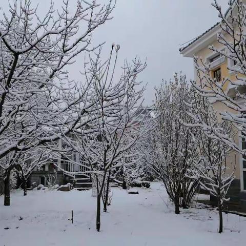 山芋微言~雪境