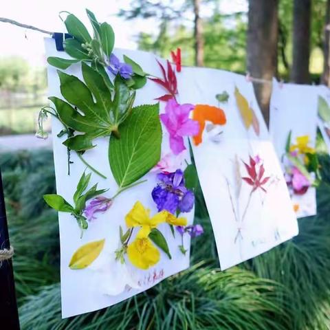 莫负好春光，踏青乐趣多