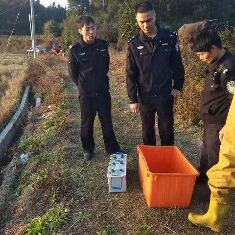 水茜镇查处一非法电鱼行为