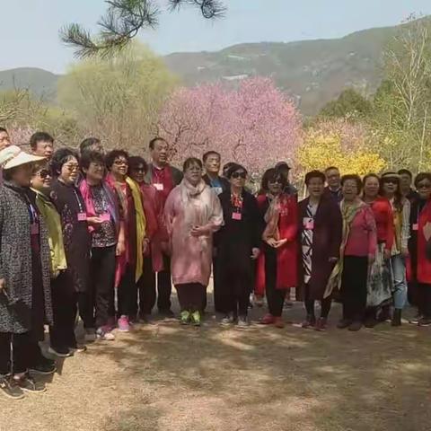 任丘老年大学合唱团北京植物园踏青放歌----2019年4月12日