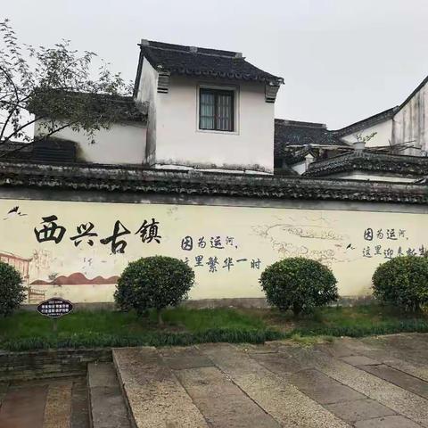 雨中游西兴古镇，道不尽烟雨江南——310假日小队活动