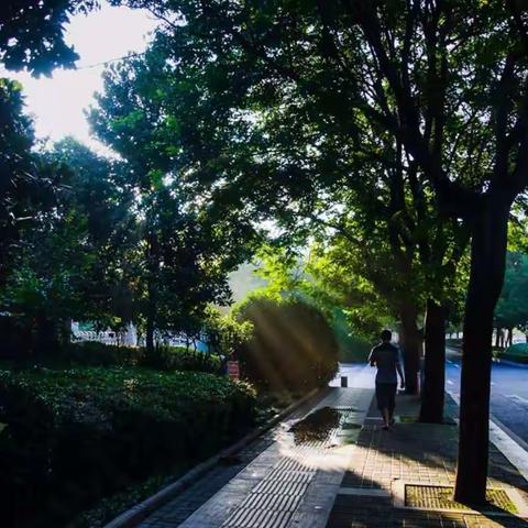 雨后·家门口的风景