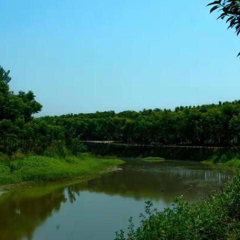 沙河国家湿地公园