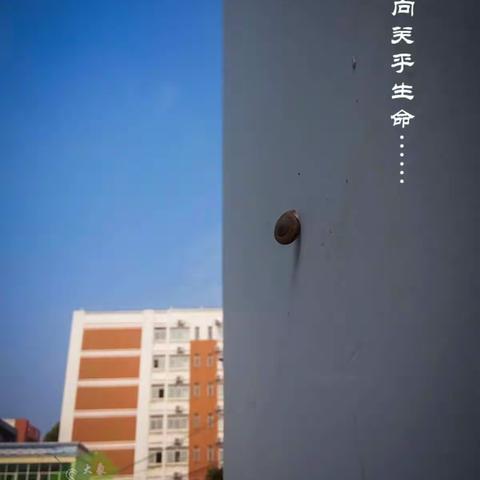 方向关乎生命……