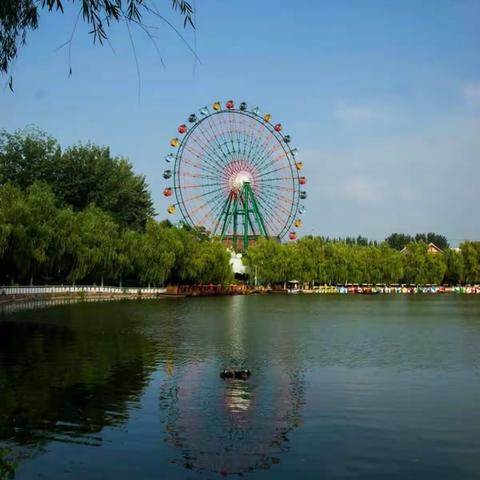 森林公园的夏天