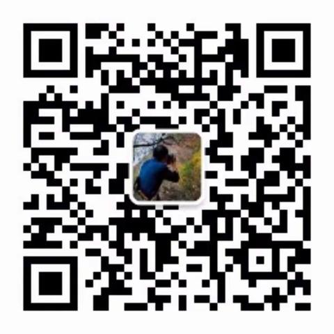 关注“大象光影”   与真同在，与美同行