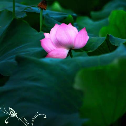 晓运动 大健康——缪雯晓名师工作室授牌仪式及第一次会议