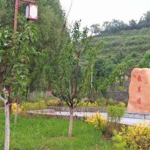 你知道秦岭腹地有个世外桃“塬”吗？