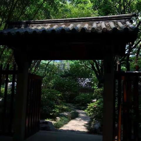 再次相聚在静安公园八景园                            2018.4.29