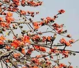 人勤春来早     实干正当时----富源中心学校2019寒假校本培训