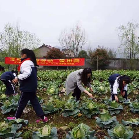 清明时节——“踏青”、“食俗”、“祭扫”