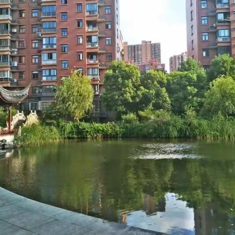 桃浦镇领导“炎炎夏日送清凉、浓浓关爱暖人心”