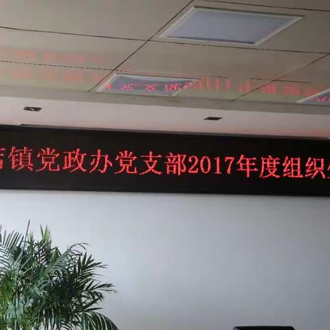 以铜为镜，可以正衣冠；以人为镜，可以明得失——康店镇党政办党支部召开2017年度组织生活会