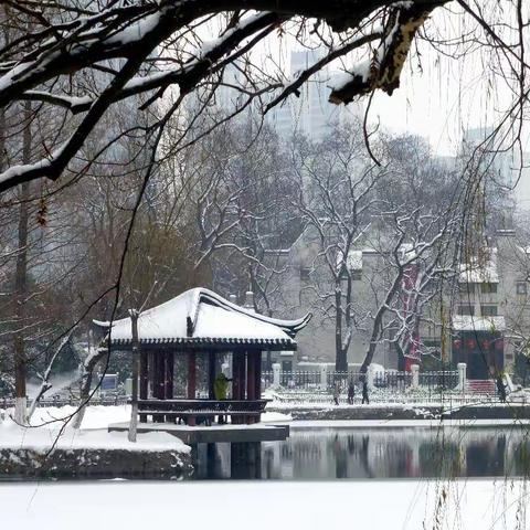 合肥包公园景区之雪                               2018.1.28
