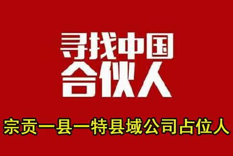 宗贡县域公司占位人合作方案