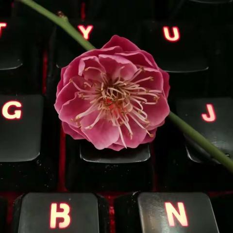 你怎么知道，又怎么能说