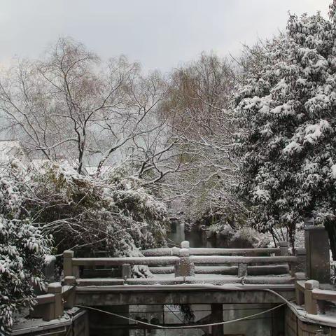 2018年初雪--平江路