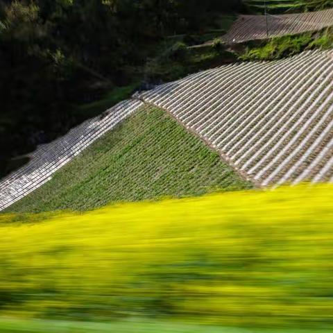 精准扶贫剪影        摄于建始县官店车营村