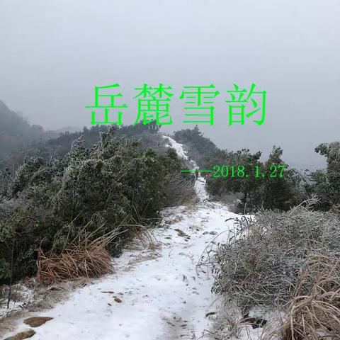 我的美篇