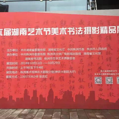 湖南省第六届艺术节书法美术摄影精品展作品翻拍2