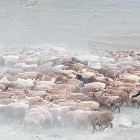 《株洲分会作品选编》征稿启事