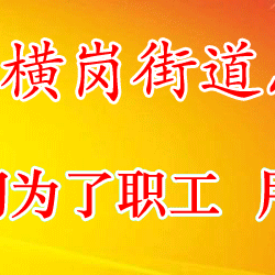 工会送关爱 温暖职工心----横岗街道总工会2018年“春节送温暖”活动