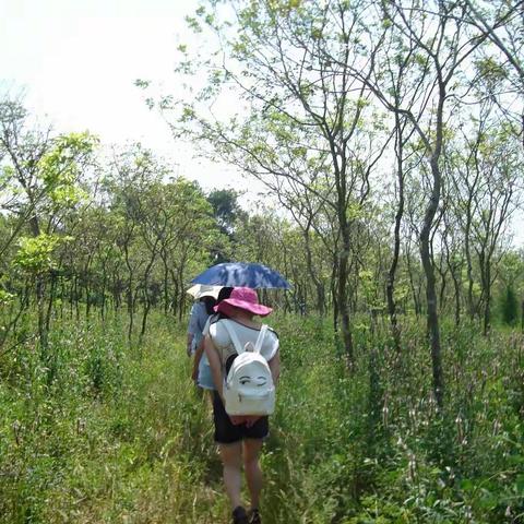 快乐旅途—海南西部小游！