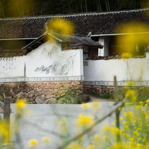 我们和春天有个约会——记实验幼儿园大二班“春天三部曲”活动