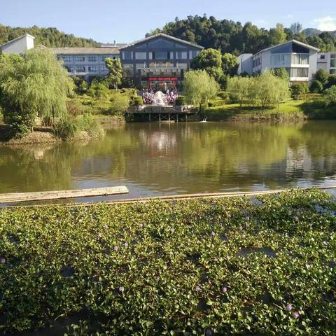 精彩超值一日游◆泡法水温泉，购山里年货，看民俗表演，品农家杀猪宴！