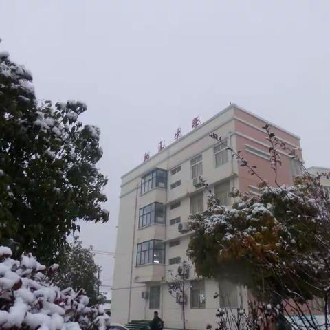 瑞雪兆魏中