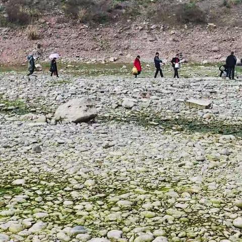 祝胡达美、芦顶新同学生日快乐之一胭脂坝烧烤纪实（2018.3.23）