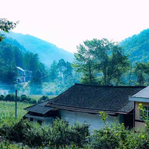 月山村留影~2018.7.16—17