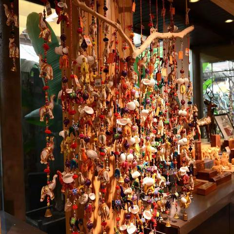 成都印象之-----宽窄巷子