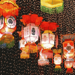 ［龙阳街］玉犬欢腾纳新福 迎新锣鼓闹元宵