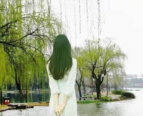 眼底温柔三月柳