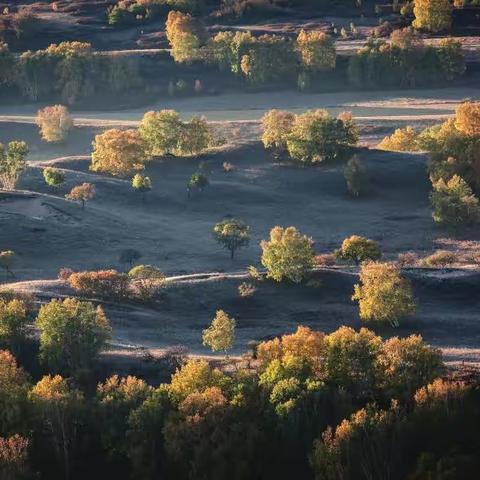 美丽坝上草原--乌兰布统•张北草原
