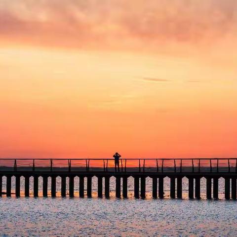 夕阳回照断霞飞