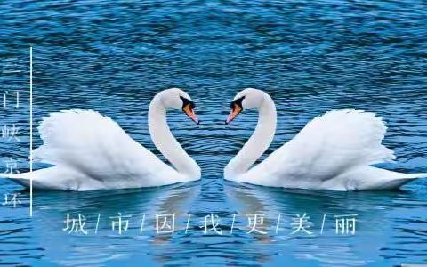 三门峡京环 ▏城管局的勤务兵，市政府的先锋队