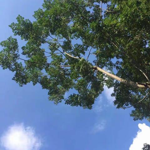 我是农村山里娃