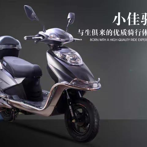 小佳俊