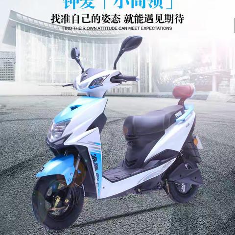 小尚领